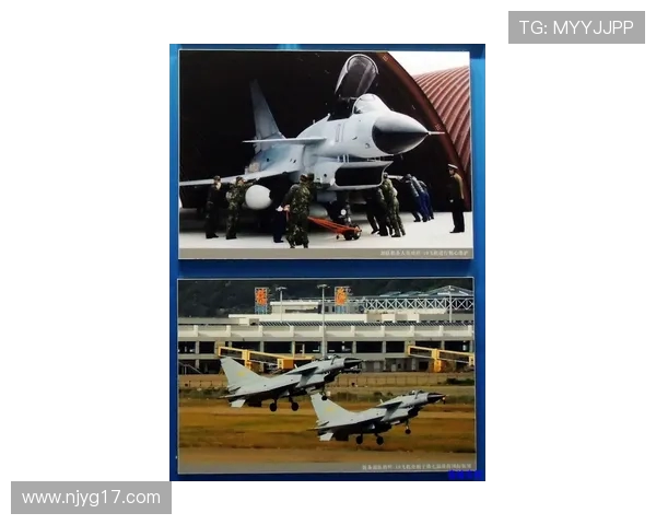 战斗机机载电子战系统的协同